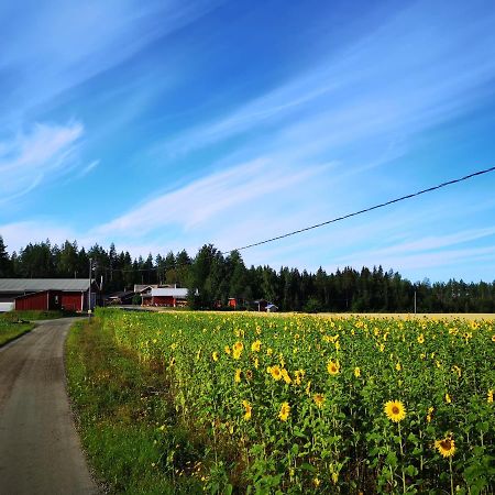Maatilamatkailu Ilomaeki Seinajoki Bagian luar foto