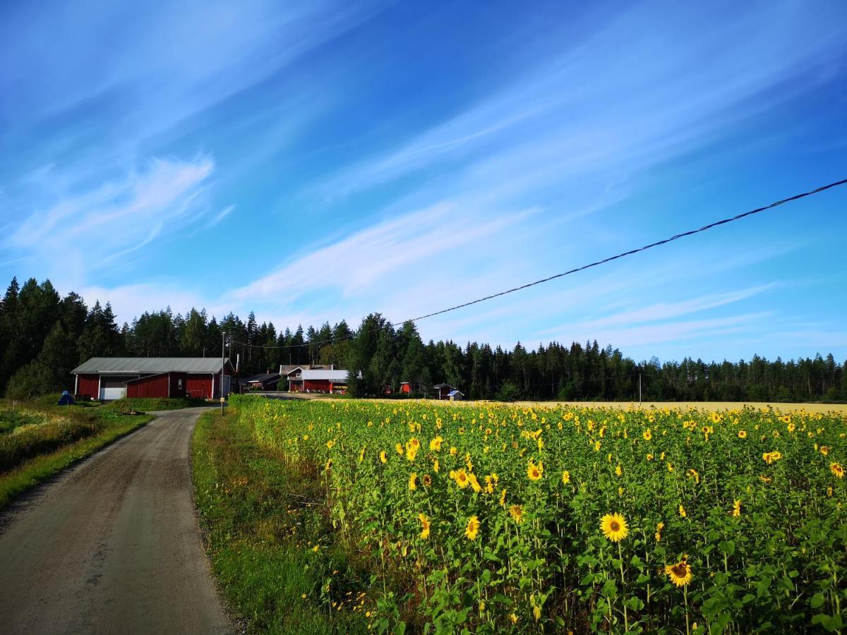 Maatilamatkailu Ilomaeki Seinajoki Bagian luar foto