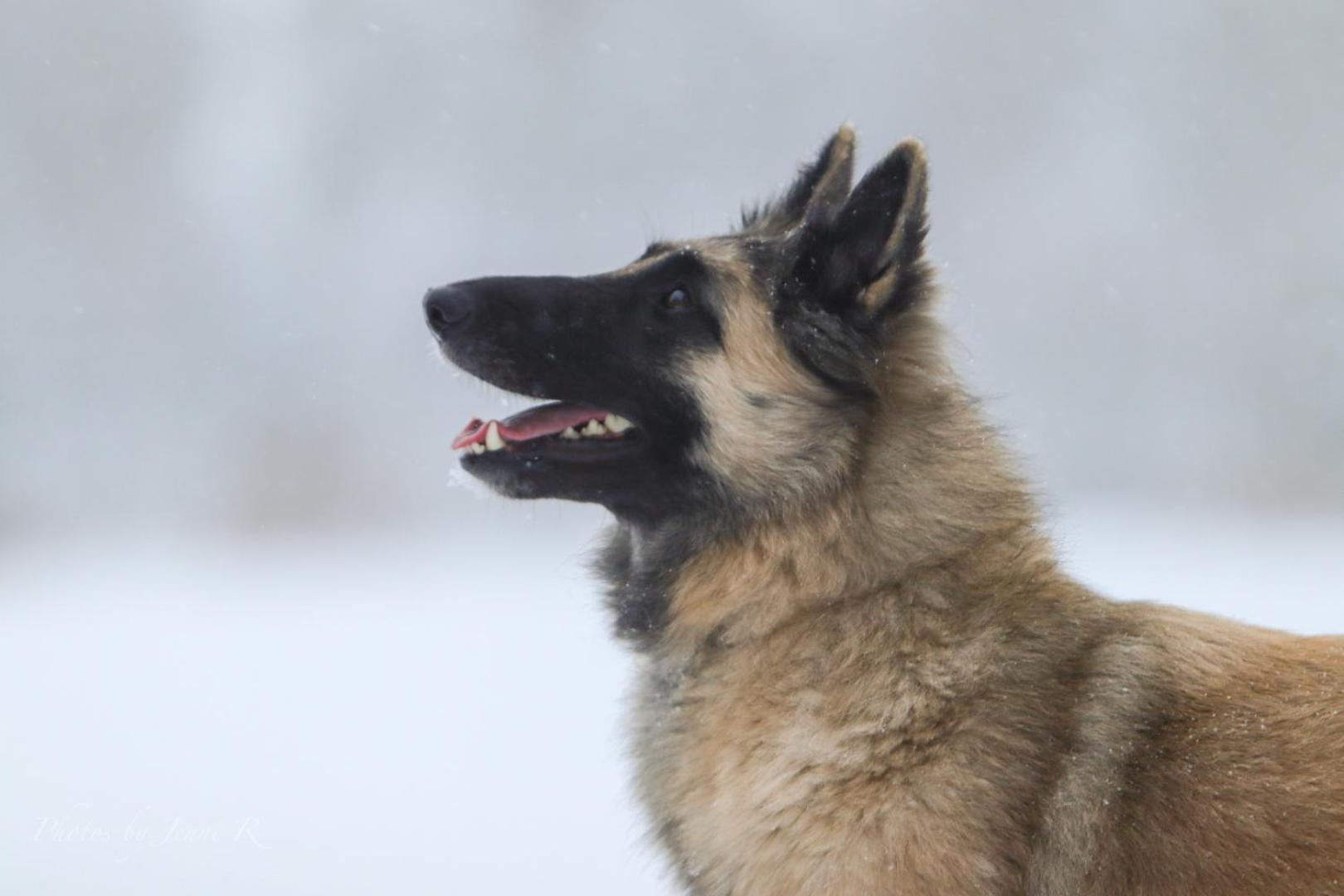Maatilamatkailu Ilomaeki Seinajoki Bagian luar foto