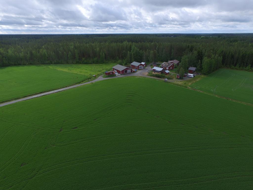 Maatilamatkailu Ilomaeki Seinajoki Bagian luar foto