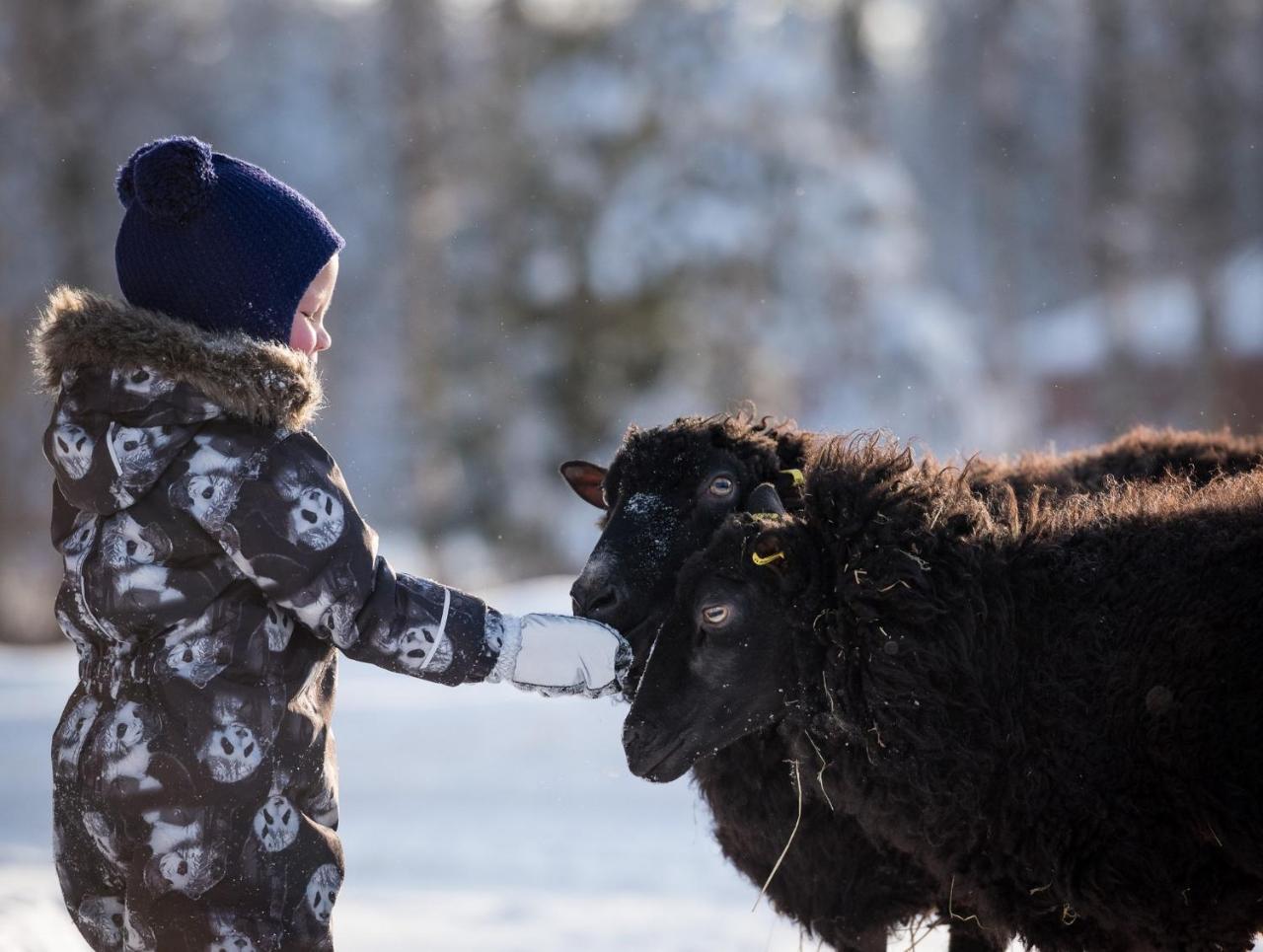 Maatilamatkailu Ilomaeki Seinajoki Bagian luar foto