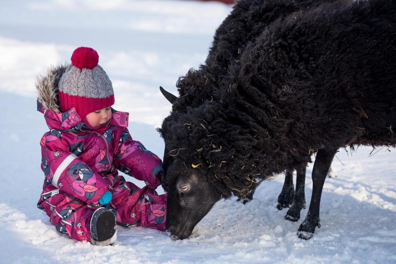 Maatilamatkailu Ilomaeki Seinajoki Bagian luar foto