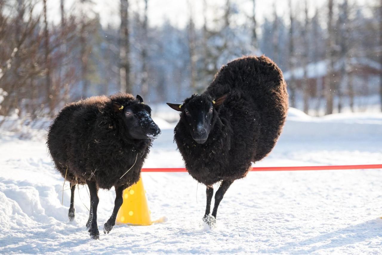 Maatilamatkailu Ilomaeki Seinajoki Bagian luar foto
