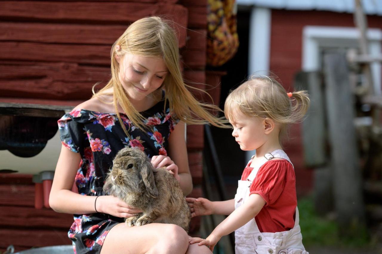Maatilamatkailu Ilomaeki Seinajoki Bagian luar foto