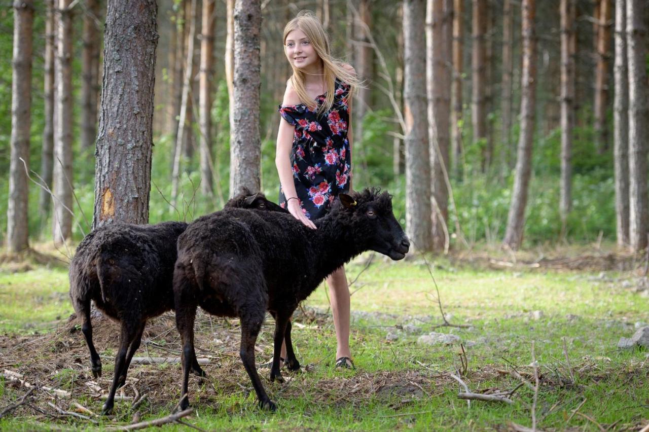 Maatilamatkailu Ilomaeki Seinajoki Bagian luar foto